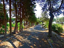 УСАДЬБА У МОРЯ ПОД БАРСЕЛОНОЙ thumbnail 28