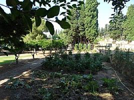 УСАДЬБА У МОРЯ ПОД БАРСЕЛОНОЙ thumbnail 35