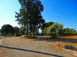 УСАДЬБА У МОРЯ ПОД БАРСЕЛОНОЙ thumbnail 37