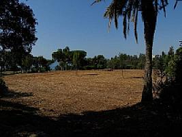 УСАДЬБА У МОРЯ ПОД БАРСЕЛОНОЙ thumbnail 38