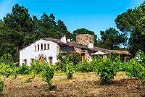 ВИЛЛА С БАССЕЙНОМ ПОД ЖИРОНОЙ thumbnail 8