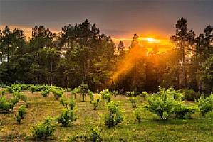 ВИЛЛА С БАССЕЙНОМ ПОД ЖИРОНОЙ thumbnail 37