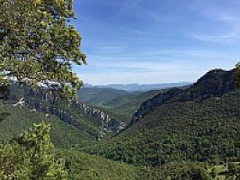 УГОДЬЯ В ПРЕДПИРЕНЕЯХ thumbnail 7