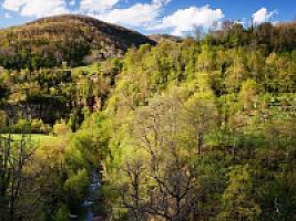 УГОДЬЯ В ПРЕДПИРЕНЕЯХ thumbnail 16