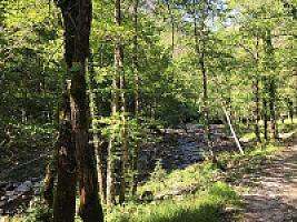 УГОДЬЯ В ПРЕДПИРЕНЕЯХ thumbnail 19