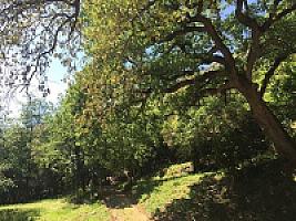 УГОДЬЯ В ПРЕДПИРЕНЕЯХ thumbnail 23