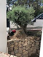 НОВАЯ ВИЛЛА НА ПОБЕРЕЖЬЕ КОСТА БРАВА thumbnail 38