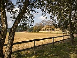 ПОМЕСТЬЕ ПОД ЖИРОНОЙ thumbnail 3