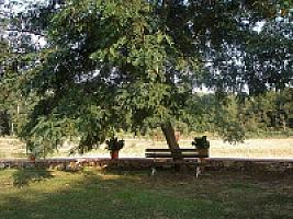 ПОМЕСТЬЕ ПОД ЖИРОНОЙ thumbnail 51