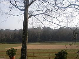 ПОМЕСТЬЕ ПОД ЖИРОНОЙ thumbnail 53