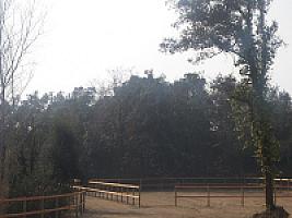 ПОМЕСТЬЕ ПОД ЖИРОНОЙ thumbnail 54