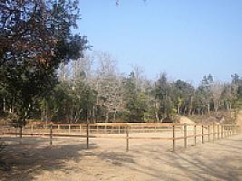 ПОМЕСТЬЕ ПОД ЖИРОНОЙ thumbnail 55