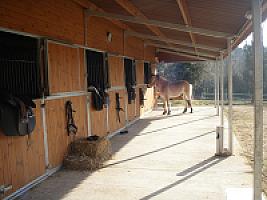 ПОМЕСТЬЕ ПОД ЖИРОНОЙ thumbnail 58