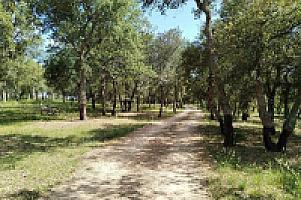 УСАДЬБА С УГОДЬЯМИ НА ПОБЕРЕЖЬЕ КОСТА БРАВА thumbnail 3