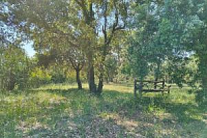 УСАДЬБА С УГОДЬЯМИ НА ПОБЕРЕЖЬЕ КОСТА БРАВА thumbnail 4