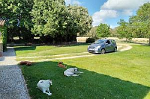 УСАДЬБА С УГОДЬЯМИ НА ПОБЕРЕЖЬЕ КОСТА БРАВА thumbnail 10