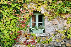 УСАДЬБА С УГОДЬЯМИ НА ПОБЕРЕЖЬЕ КОСТА БРАВА thumbnail 12