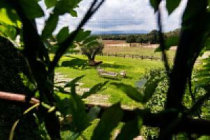 УСАДЬБА С УГОДЬЯМИ НА ПОБЕРЕЖЬЕ КОСТА БРАВА thumbnail 39