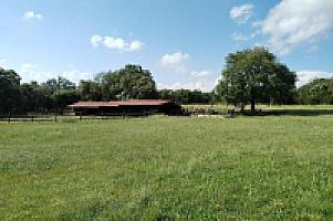 УСАДЬБА С УГОДЬЯМИ НА ПОБЕРЕЖЬЕ КОСТА БРАВА thumbnail 61