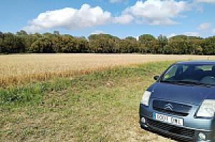 УСАДЬБА С УГОДЬЯМИ НА ПОБЕРЕЖЬЕ КОСТА БРАВА thumbnail 75