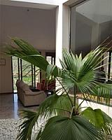 ПОМЕСТЬЕ НА РЕКЕ ЭБРО thumbnail 25