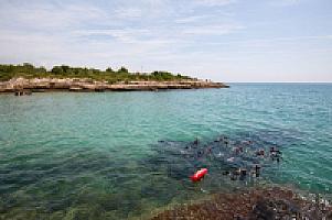 КВАРТИРЫ НА ПОБЕРЕЖЬЕ КОСТА ДОРАДА thumbnail 31