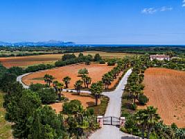 УСАДЬБА С УГОДЬЯМИ НА МАЙОРКЕ thumbnail 2