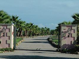 УСАДЬБА С УГОДЬЯМИ НА МАЙОРКЕ thumbnail 4