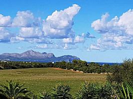 УСАДЬБА С УГОДЬЯМИ НА МАЙОРКЕ thumbnail 22