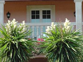 УСАДЬБА С УГОДЬЯМИ НА МАЙОРКЕ thumbnail 27