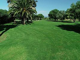 УСАДЬБА С УГОДЬЯМИ НА МАЙОРКЕ thumbnail 30