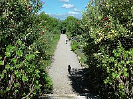 УСАДЬБА С УГОДЬЯМИ НА МАЙОРКЕ thumbnail 32