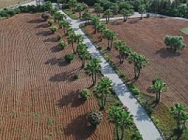 УСАДЬБА С УГОДЬЯМИ НА МАЙОРКЕ thumbnail 42