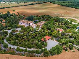 УСАДЬБА С УГОДЬЯМИ НА МАЙОРКЕ thumbnail 44