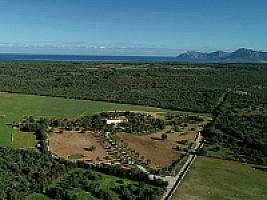 УСАДЬБА С УГОДЬЯМИ НА МАЙОРКЕ thumbnail 50