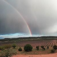 С/Х УГОДЬЯ С ДОМОМ В ПРОВИНЦИИ ТАРРАГОНА thumbnail 2