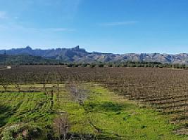 С/Х УГОДЬЯ С ДОМОМ В ПРОВИНЦИИ ТАРРАГОНА thumbnail 4