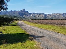 С/Х УГОДЬЯ С ДОМОМ В ПРОВИНЦИИ ТАРРАГОНА thumbnail 5