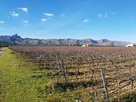 С/Х УГОДЬЯ С ДОМОМ В ПРОВИНЦИИ ТАРРАГОНА thumbnail 6