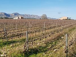 С/Х УГОДЬЯ С ДОМОМ В ПРОВИНЦИИ ТАРРАГОНА thumbnail 7