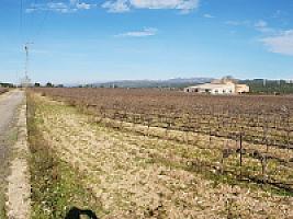 С/Х УГОДЬЯ С ДОМОМ В ПРОВИНЦИИ ТАРРАГОНА thumbnail 12