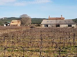 С/Х УГОДЬЯ С ДОМОМ В ПРОВИНЦИИ ТАРРАГОНА thumbnail 17