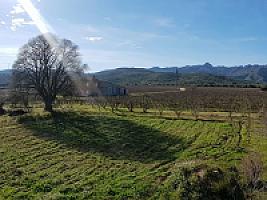 С/Х УГОДЬЯ С ДОМОМ В ПРОВИНЦИИ ТАРРАГОНА thumbnail 56