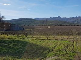 С/Х УГОДЬЯ С ДОМОМ В ПРОВИНЦИИ ТАРРАГОНА thumbnail 57