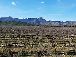 С/Х УГОДЬЯ С ДОМОМ В ПРОВИНЦИИ ТАРРАГОНА thumbnail 58