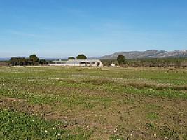 С/Х УГОДЬЯ С ДОМОМ В ПРОВИНЦИИ ТАРРАГОНА thumbnail 62