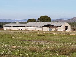 С/Х УГОДЬЯ С ДОМОМ В ПРОВИНЦИИ ТАРРАГОНА thumbnail 63