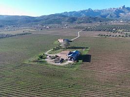 С/Х УГОДЬЯ С ДОМОМ В ПРОВИНЦИИ ТАРРАГОНА thumbnail 74