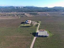 С/Х УГОДЬЯ С ДОМОМ В ПРОВИНЦИИ ТАРРАГОНА thumbnail 76