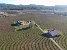 С/Х УГОДЬЯ С ДОМОМ В ПРОВИНЦИИ ТАРРАГОНА thumbnail 78